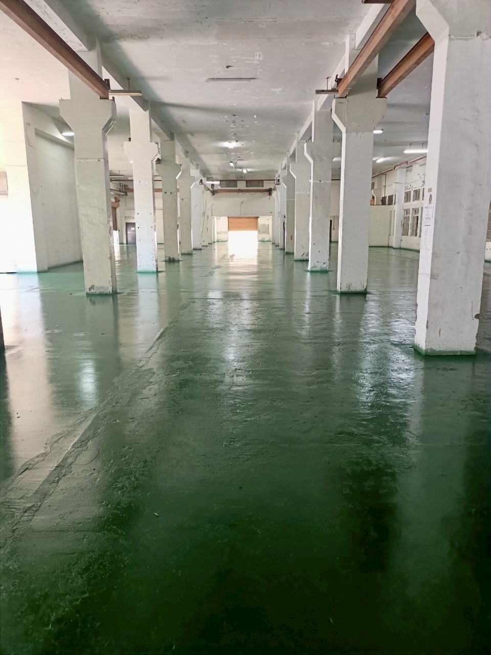 綠色環氧樹脂地坪的整體視覺