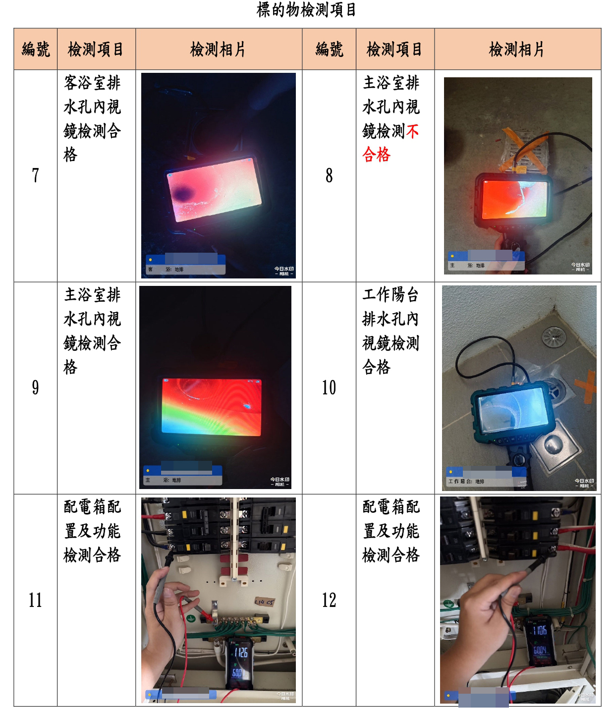 報告內的文字說明