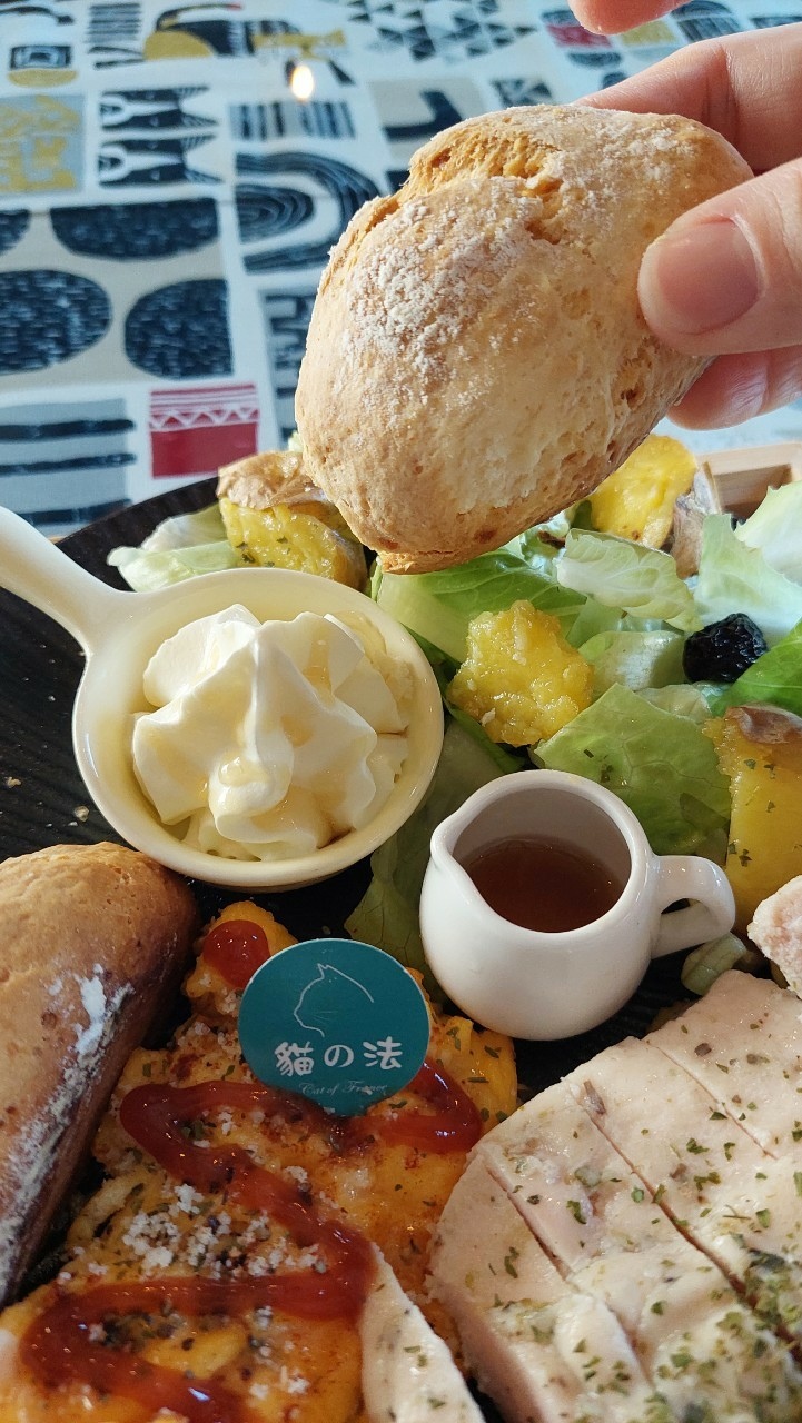 安南區聚餐/包場首選【貓的法小館】療癒系貓咪餐廳必訪!天然自